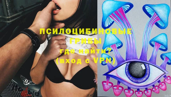 стафф Нефтегорск