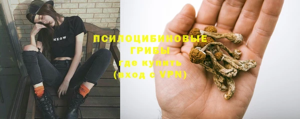 MESCALINE Новодвинск
