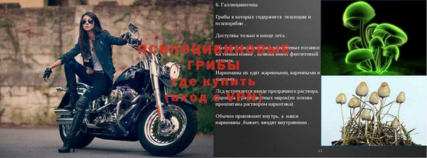 спайс Новозыбков