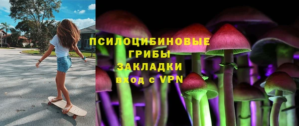 стафф Нефтегорск