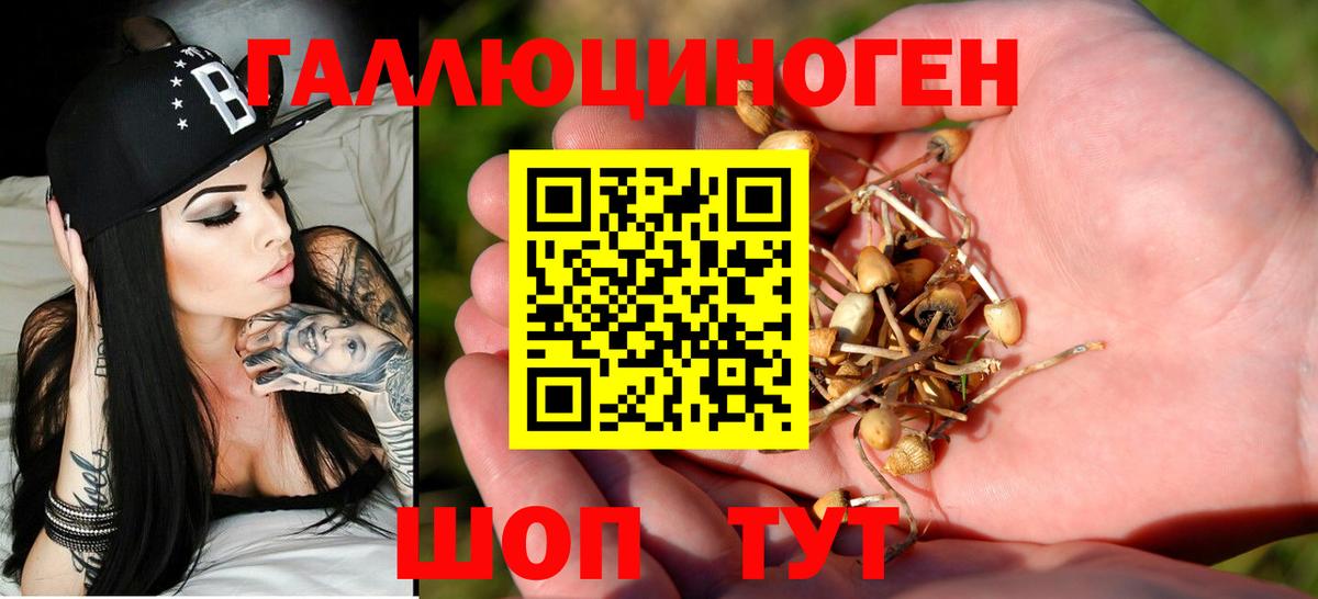Галлюциногенные грибы GOLDEN TEACHER Таганрог