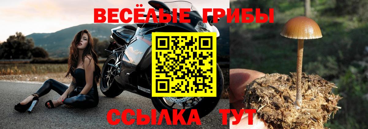 Галлюциногенные грибы прущие грибы  Вход с VPN  купить  цена  Таганрог  Галлюциногенные грибы мухоморы 